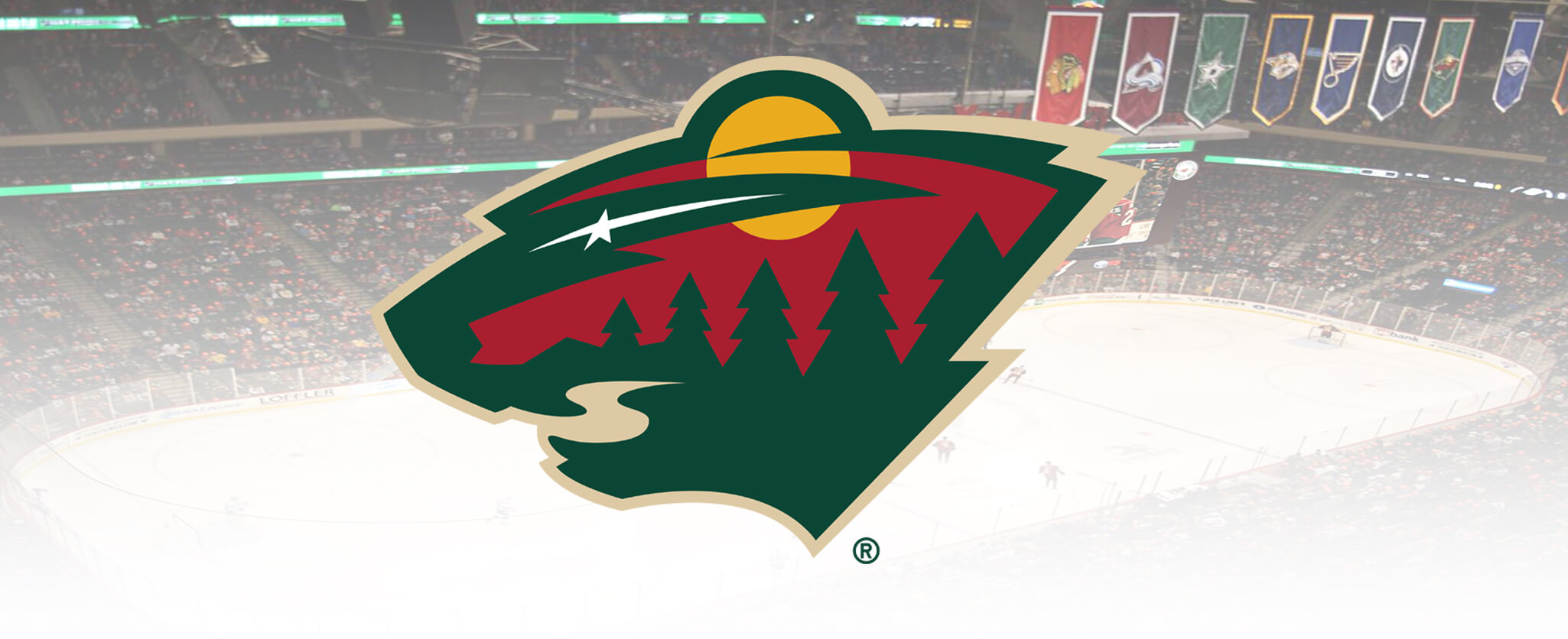 Minnesota Wild