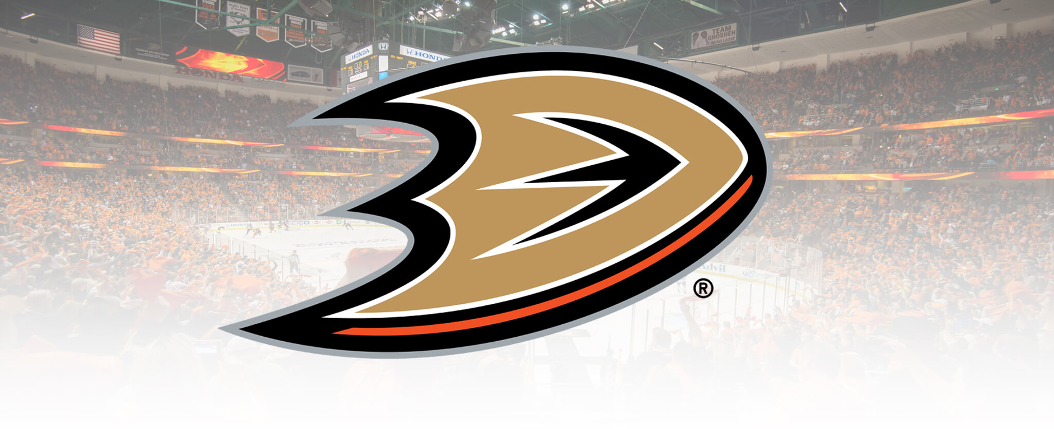 Anaheim Ducks