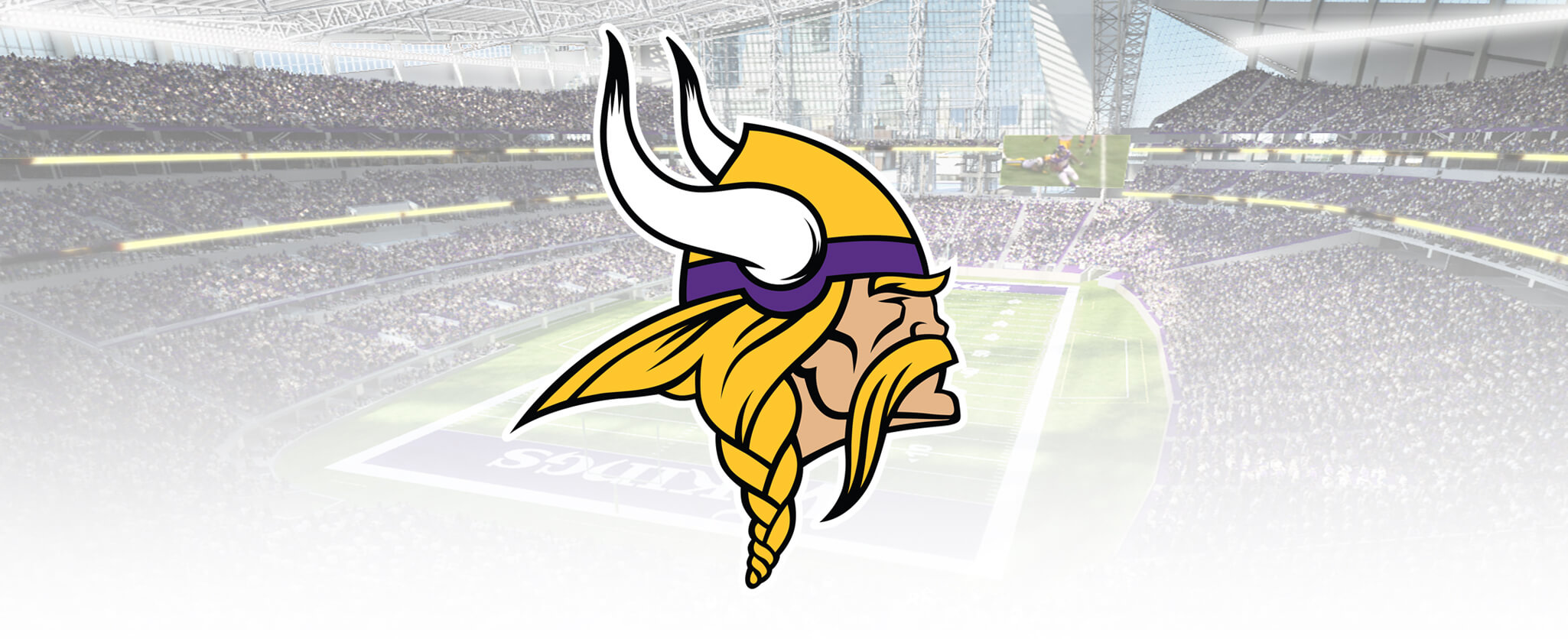 Minnesota Vikings